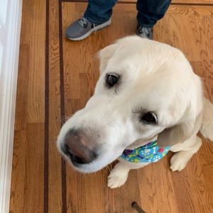 Meet your Posher, Tyler